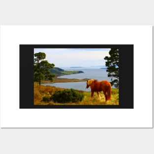 Horse in Tighnabruaich Posters and Art